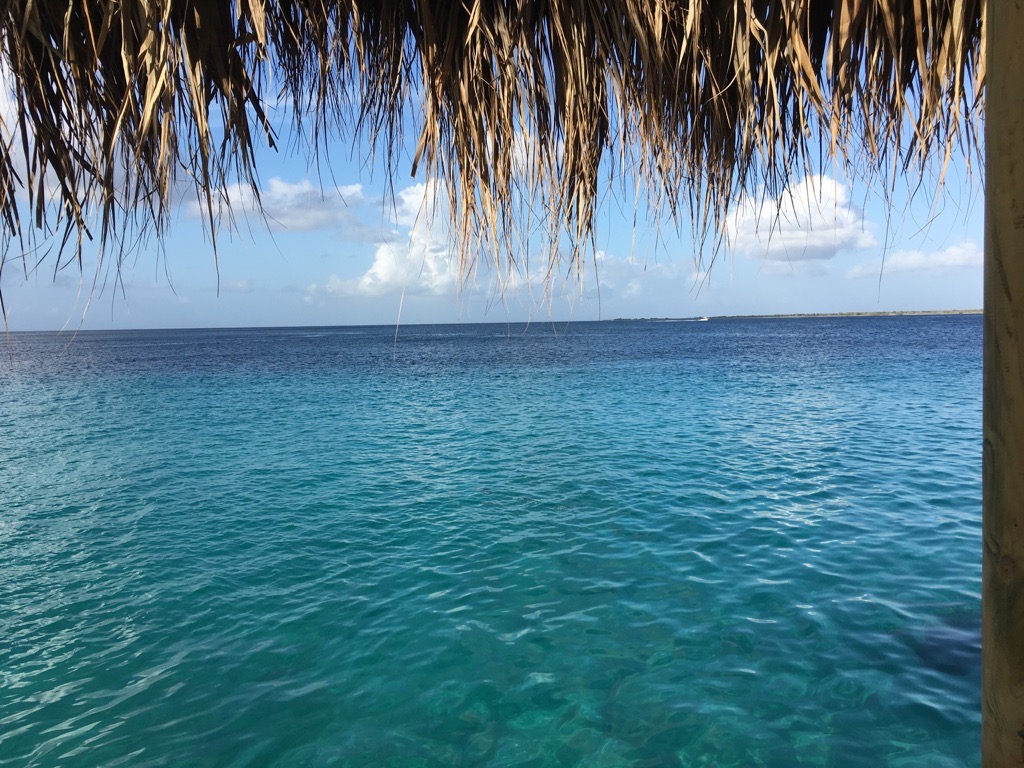 How I Saved My Vacation and What You Should Know About Relieving Acute Knee Pain Without Surgery.